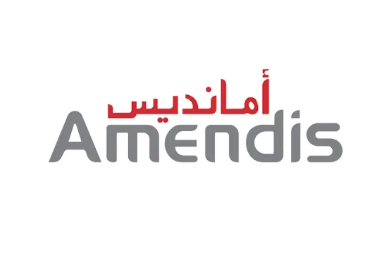amendis